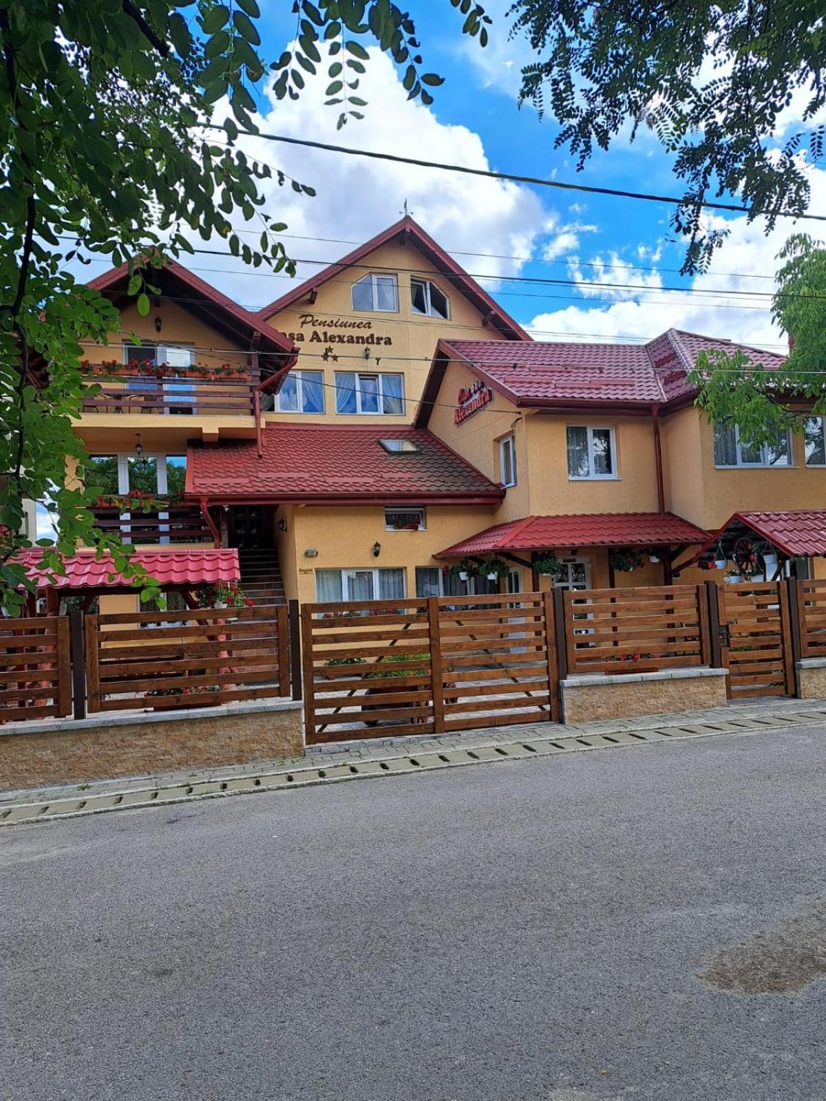 Pensiunea Casa Alexandra Ватра-Дорней Екстер'єр фото